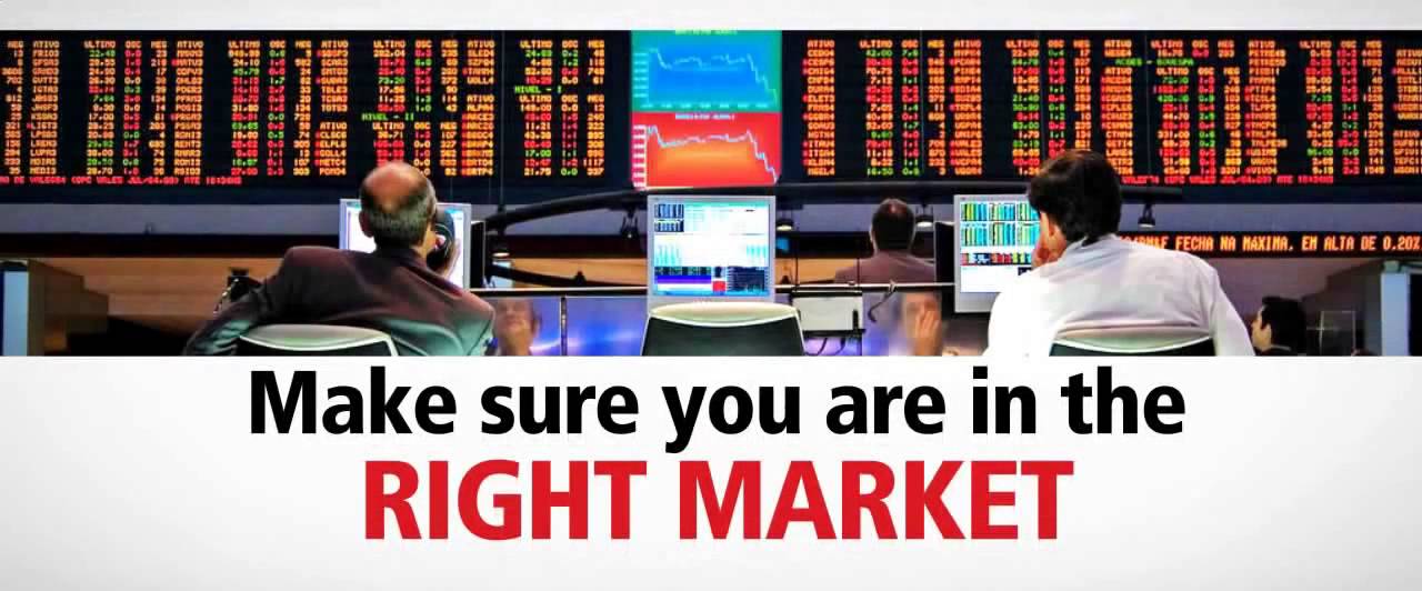 auto binary signals pro signals