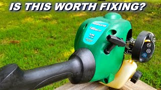 Celebrity Saving a Weedeater from the scrap heap Wealth