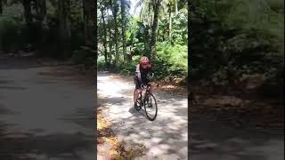tayak forest