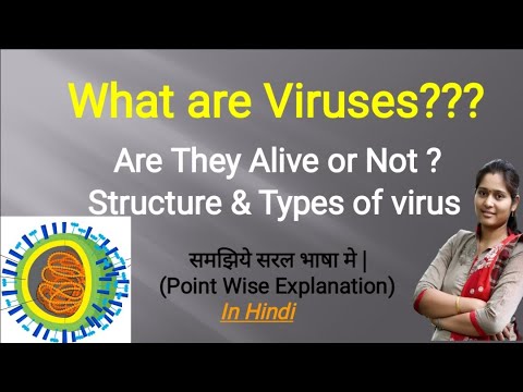 Structure of Virus | Types of Virus | Animal Virus | Plant Virus |  Bacterial Virus | In Hindi - YouTube