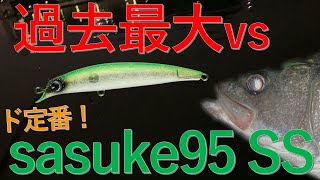 【アイマ サスケ】過去最大のランカー級シーバスとの戦い…そして…【ima sasuke95・東京湾奥】