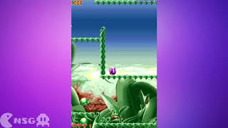 [NSG] Bubble Bobble Series: Bubble Bobble Revolution (DS) - 1/12