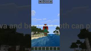 new lifesteal smp for bedrock and java too #minecraft #smp