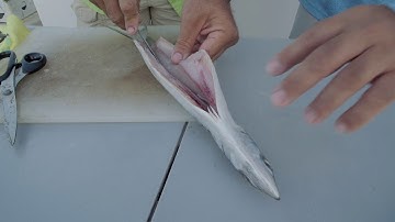 How to Debone a Makeral for Daytime Swordfish
