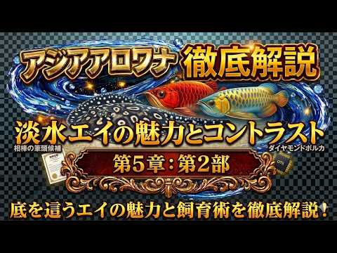 The ultimate companion for the Asian Arowana! The allure and care