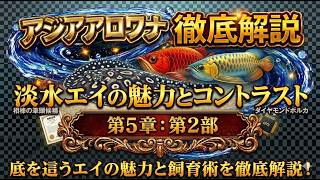 趣味・スポーツ・実用 The Asian Arowana by Goh & Chua The ultimate companion for the Asian Arowana! The allure and care