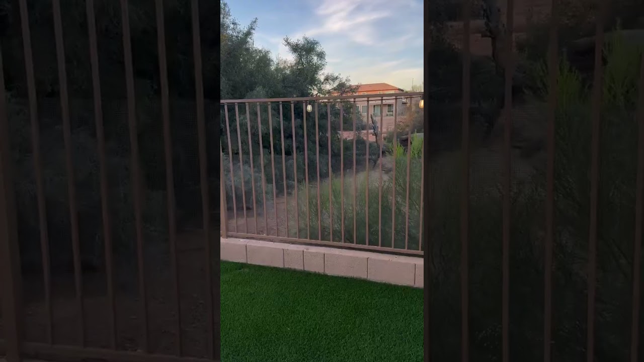 Revisiting an older Rattlesnake Fence installation. What kind of simple maintenance do you think was