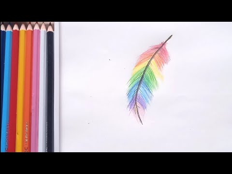 How to draw a rainbow feather by using colour pencils || Drawing Video ||