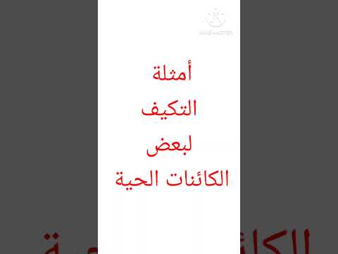 أمثلة لبعض طرق تكيف الحيوانات و النباتات التكيف التكيف و البقاء علوم الصف الرابع الابتدائي 