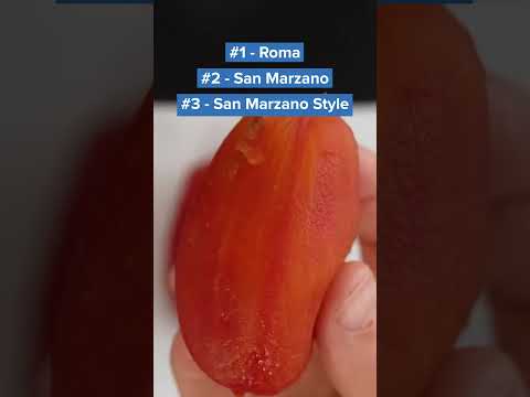 Video: San Marzano Tomato Care – kasvata San Marzano Sauce -tomaattikasveja