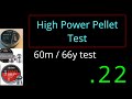 High Power Pellet Test 5 5mm 22 High Power Pellet Test 5 5mm 22
