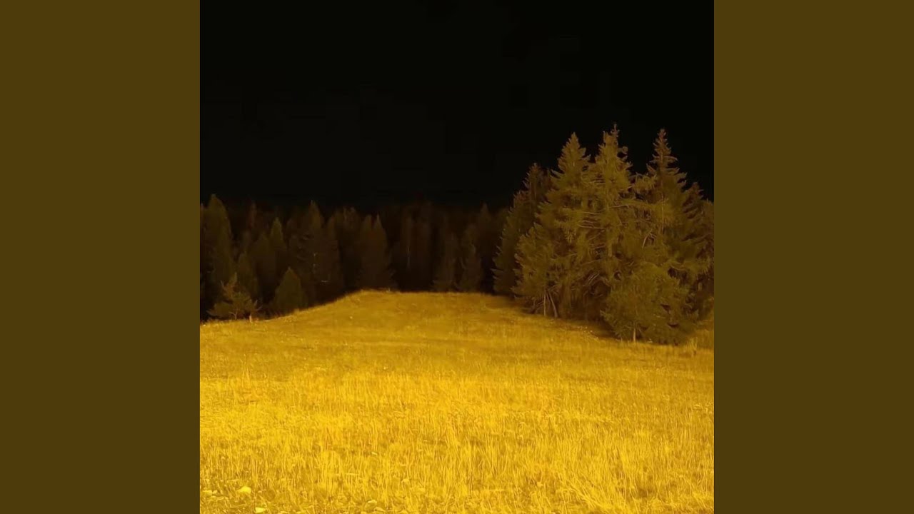 Watch let's go on YouTube Watch let's go on YouTube