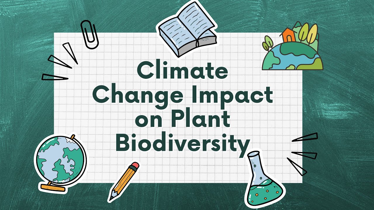 Climate Change Impact on Plant Biodiversity Research Topics For Students | Part IV | 