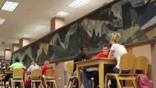 UL Lafayette Diversity 2014