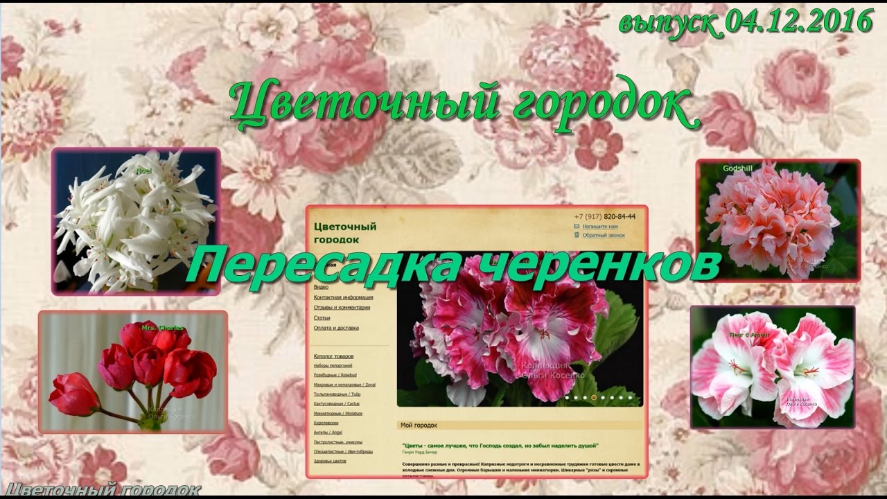 Интернет Магазин Черенков Цветов
