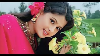 Phool Phool Pe Bani Teri Tasveer|| Udit Narayan, Kavita Krishnamurthy|| phool(1993) song
