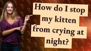 How do I stop my kitten from crying at night?