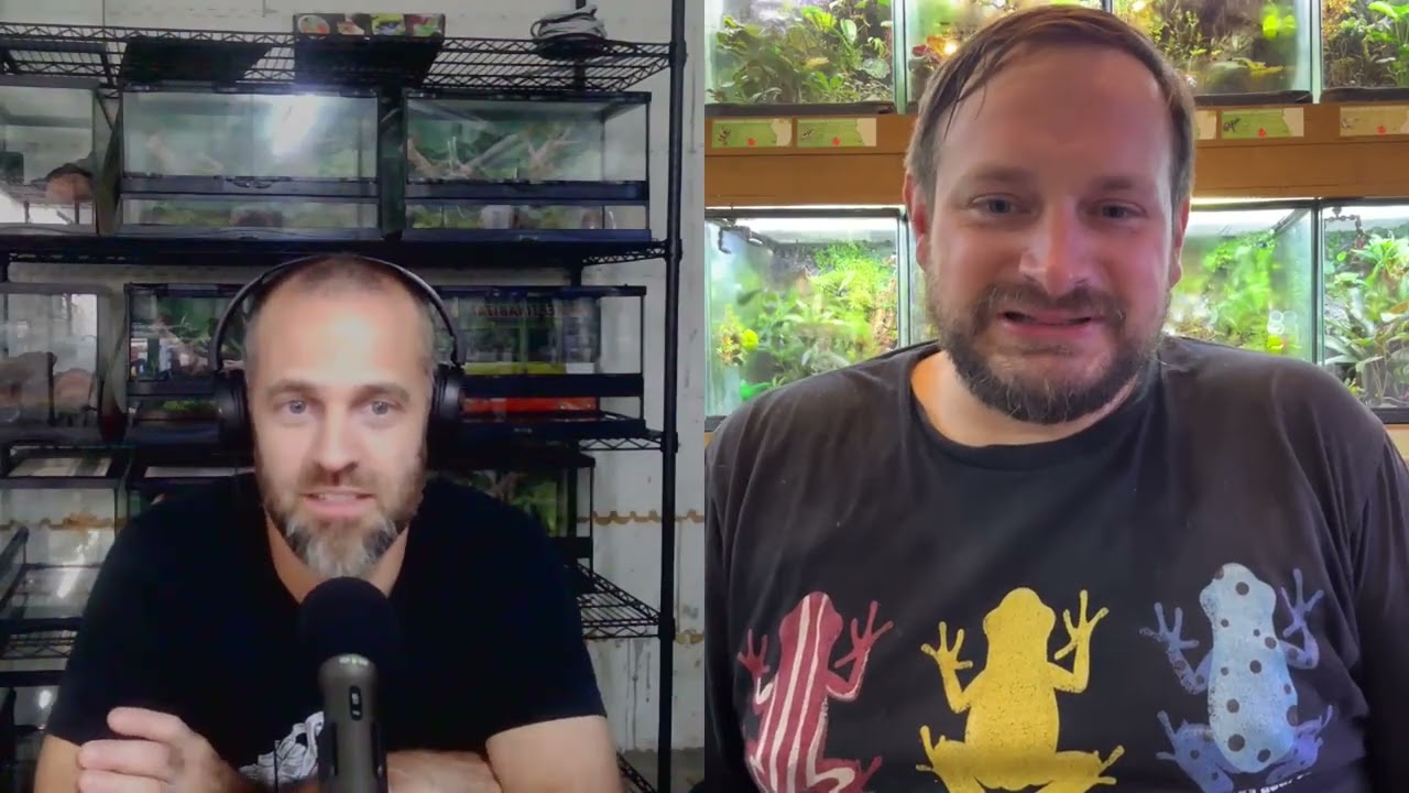 Episode 5: NCdartfrogs