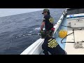 300キロ本マグロ激闘3時間後編OCEANS久米島遠征#まさひろうみの