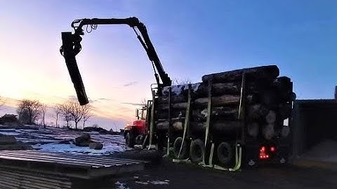Trucking Logs to The Sawmill and Unloading (time lapse)