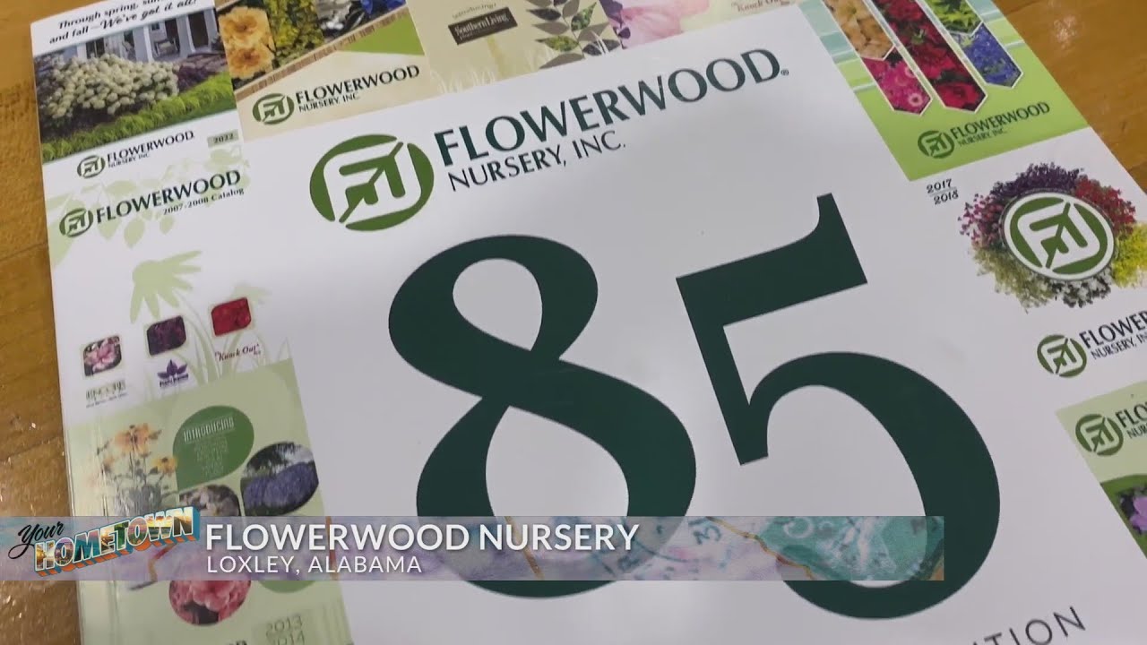 Flowerwood Nursery busier than ever at Loxley headquarters YouTube