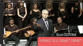 İlyas Öztürk Kirmizi Gül Demet Demet