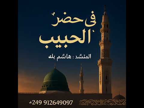 جديد المادح هاشم بله رسولي الزين