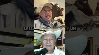 Jaime Maradiaga enfocándose en la producción de leche y la nutrición animal #mexico #ganaderia #cow