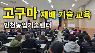 고구마재배기술교육-인천농업기술센터