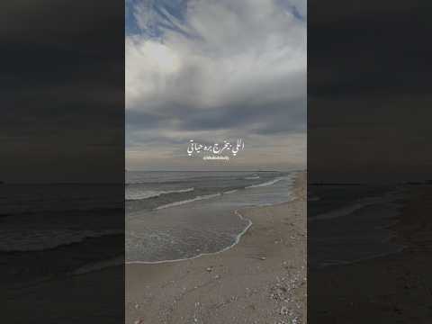 ومليش في الآخر غير راحتي خالد الصيفي عمرو دياب ايوه اتغيرت الهضبة حالات واتس رومانسي حب