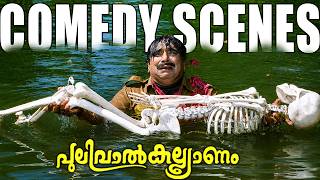 Pulival Kalyanam Malayalam Movie | Comedy Scenes - 02 | Jayasurya | Salim Kumar | Cochin Haneefa