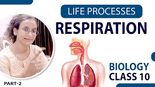 Respiration | Respiratory - Life Processes | CBSE Class 10 Biology NCERT | by Jyoti Singh