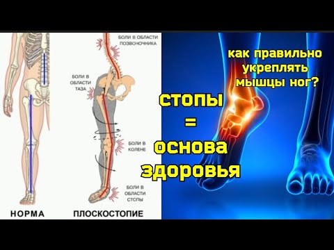 Страдают ноги, болят стопы и голени? 3 главные мышцы, 5 популярных ошибок