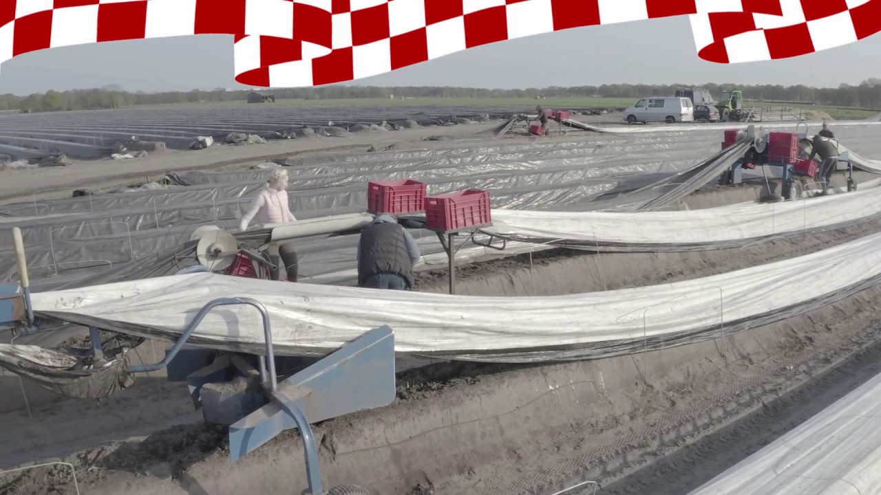 Aspergevelden de Brandevoortse Hoeve