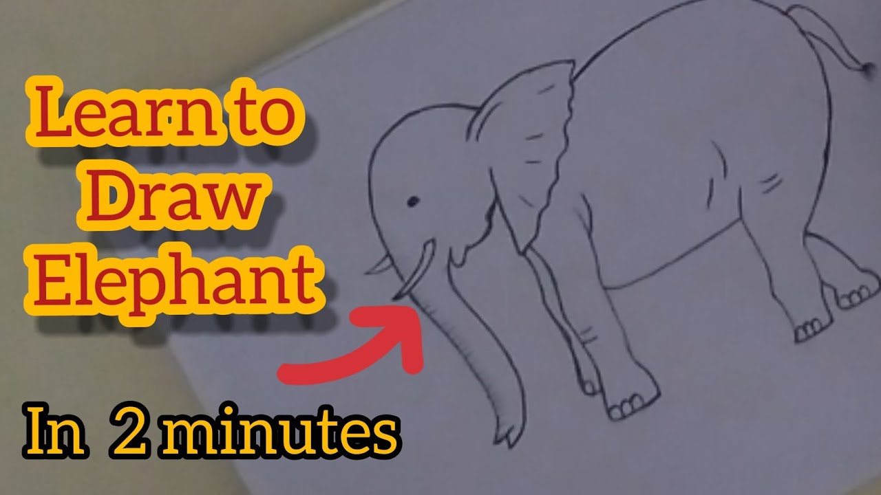 How to Draw Elephant | Step by Step | Easily | - YouTube