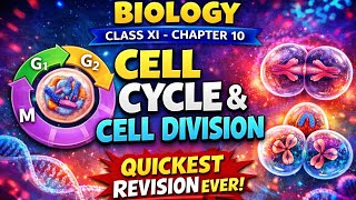 Cell Cycle &amp; Cell Division | Class 11 Biology Chapter 10 | Quickest Revision Ever | NEET &amp; CBSE