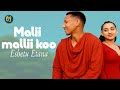 Eshetu Etana MALII MALLII KOO New Oromic Music Official Video 2025 Eshetu Etana MALII MALLII KOO New Oromic Music Official Video 2025