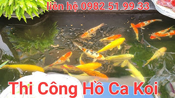 Thi Công Hồ Cá koi  - liên hệ thi công 0982 51 99 33