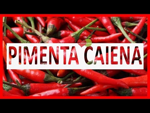 Vídeo: Pimenta-caiena