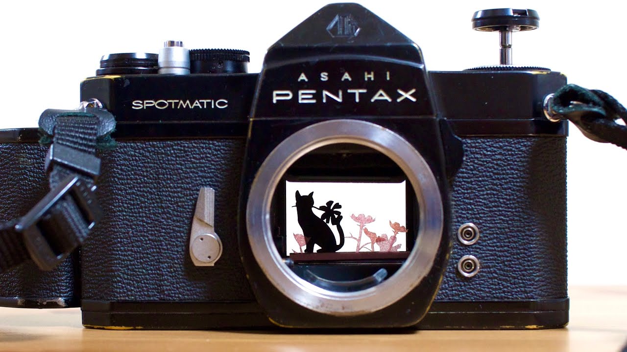 フィルムカメラの中に切り絵を入れて写真を撮る Shorts Youtube