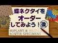 【蝶ネクタイ】ボウタイスペシメンズの手結び蝶ネクタイをオーダーする！後編【あらいけんじ】