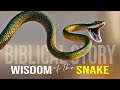 Wisdom Of The Serpent - Best Motivational Video