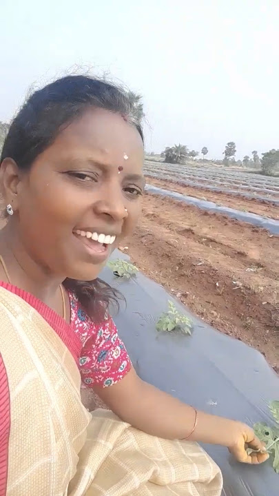 அடி சந்தோஷ கூத்தாடு...💛#song#viralsong#trendingsong#musicsongs#youtubesongs#viralvideos #viral