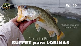 BUFFET para LOBINAS | Nunca antes visto en PRESA LA BOCA | Pescando SIN AGUA, SEQUÍA en NUEVO LEÓN
