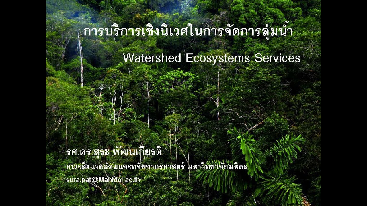 บทเรียนออนไลน์ (E-Learning) วิชา การบริการเชิงนิเวศ (Watershed Ecosystems Services)