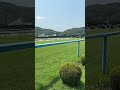 小倉競馬 最後の直線