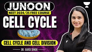 Cell Cycle | Cell Cycle & Cell Division | Junoon NEET 2024 | Dr Gargi Singh