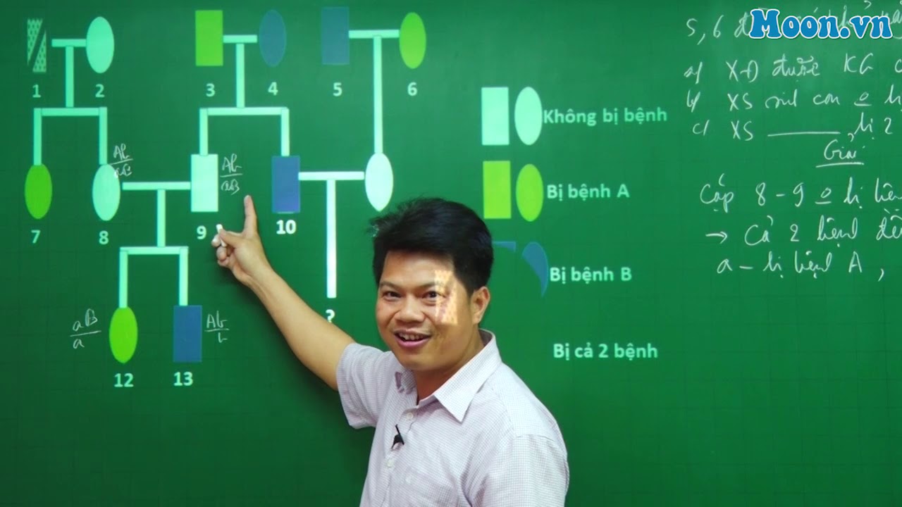 Phả hệ 2 bệnh liên kết P2
