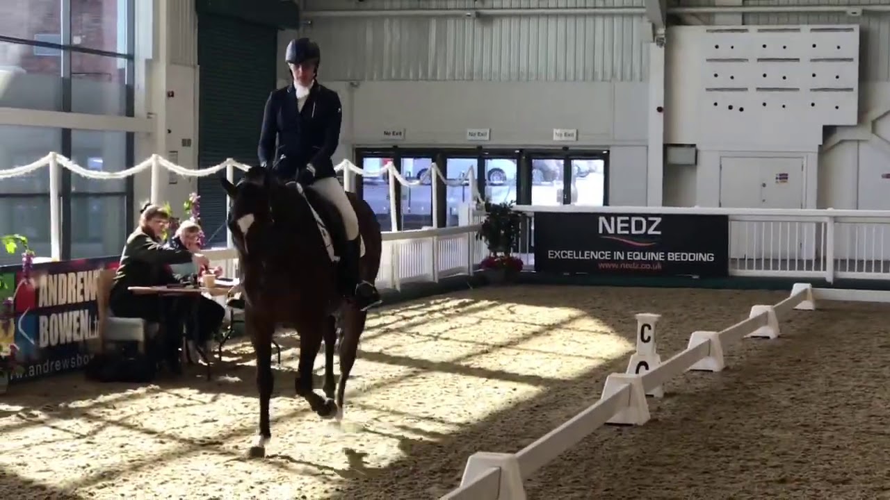 Arogo, Prelim 15 29/9/2020 RoR dressage at Aintree 75 YouTube