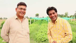 Indian & American Grapes varieties in Pakistan Arshad Mughal VLog recorded at Gul Grapes Farms Hazro